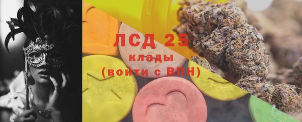 apvp Инсар