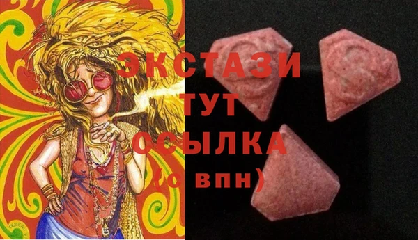 амф Гатчина
