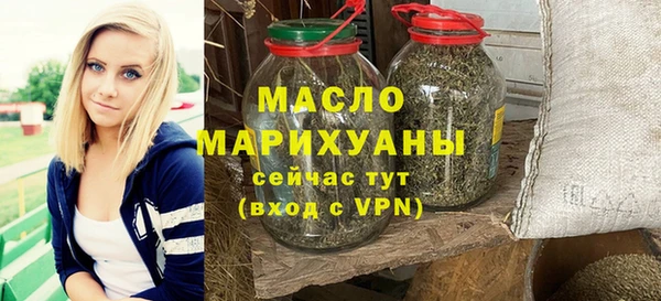 apvp Инсар