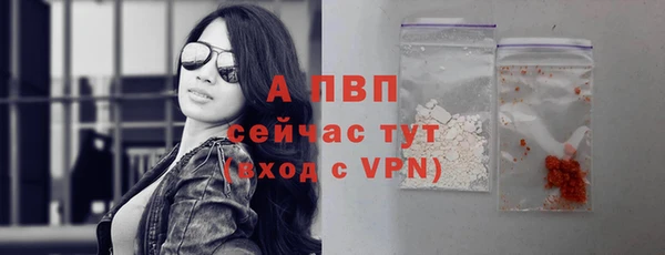 Альфа ПВП Инта