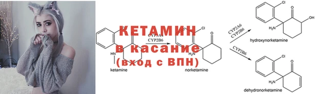 apvp Инсар