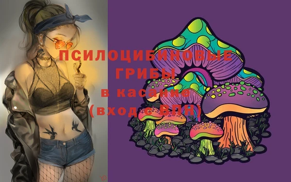 амф Гатчина