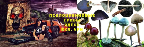 ПСИЛОЦИБИНОВЫЕ ГРИБЫ Гвардейск