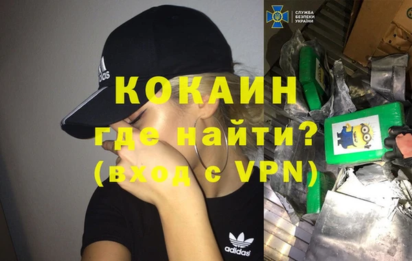 apvp Инсар