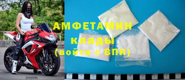 apvp Инсар