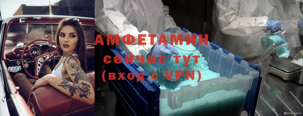 apvp Инсар
