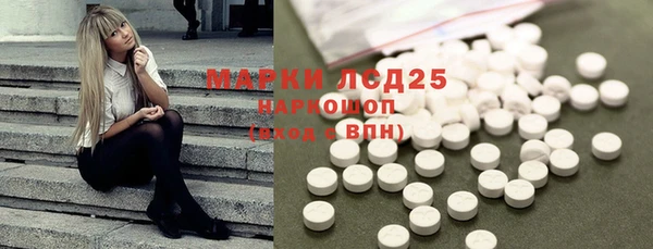 apvp Инсар