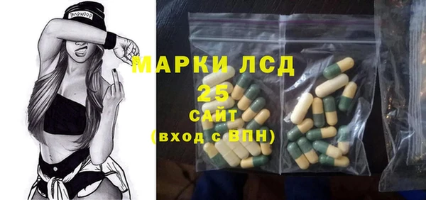 apvp Инсар